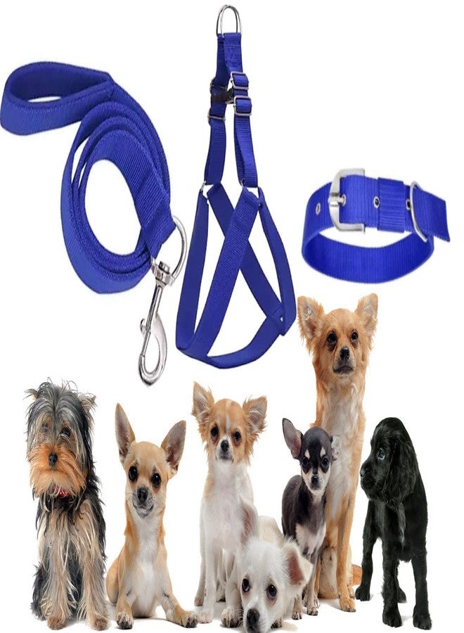 Pups&Pets طقم حزام وطوق قابل للتعديل للكلاب الصغيرة من Pups&Pets (مقاوم للماء، نايلون) (أزرق، 3/4 بوصة). - Image 1